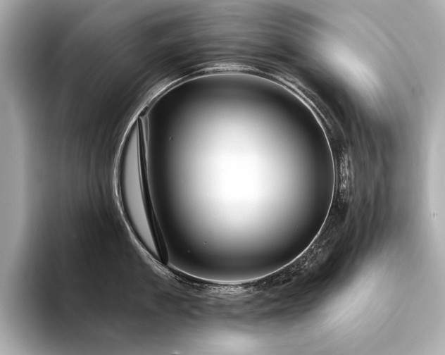 X0000094330909200711021407