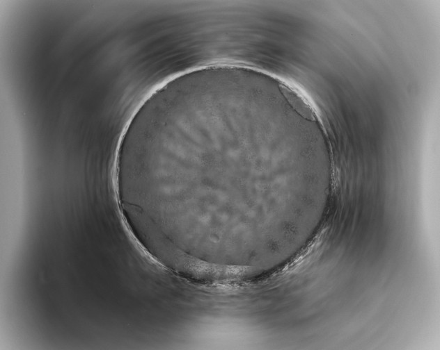 X0000094330911200711021407