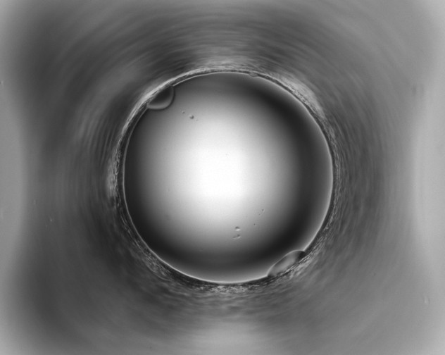 X0000094330912200711021407