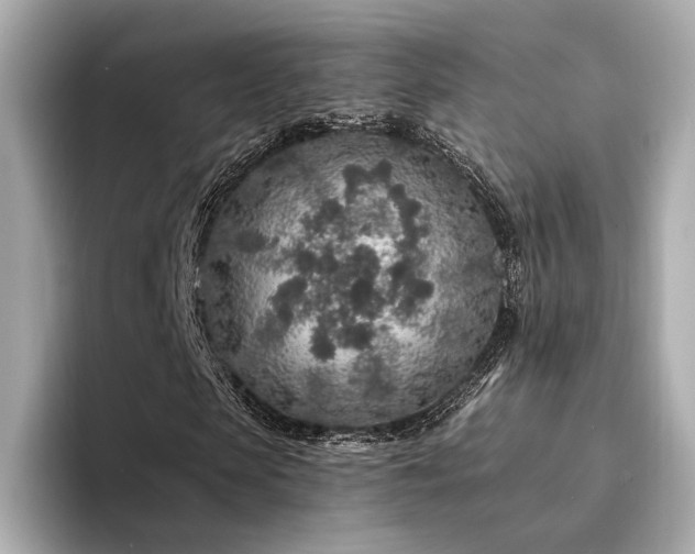 X0000094330913200711021407