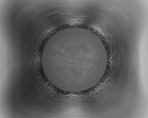 X0000094330917200711021407