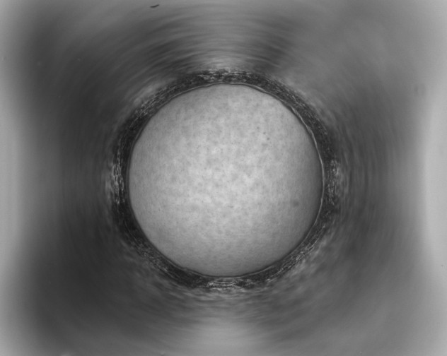 X0000094330918200711021407