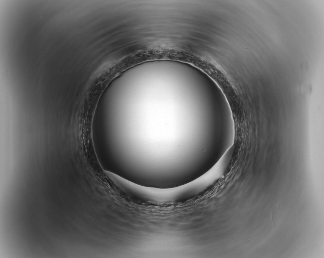 X0000094330919200711021407