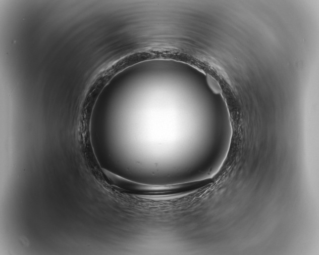 X0000094330920200711021407