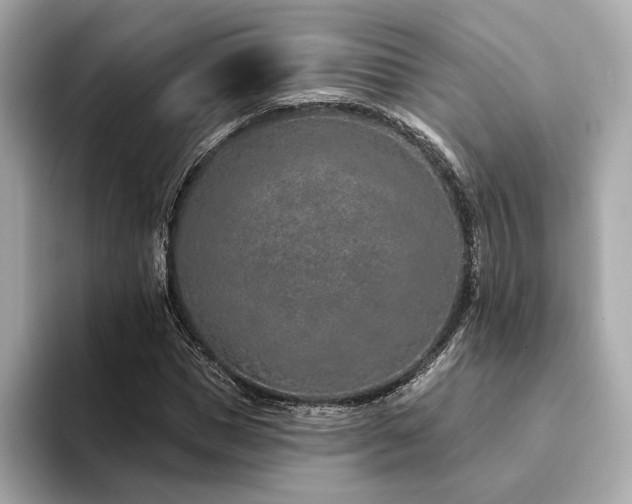 X0000094330921200711021407