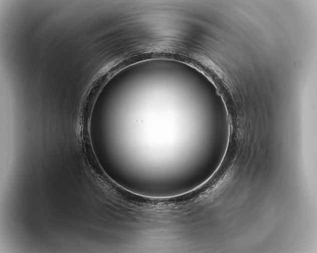 X0000094330922200711021407