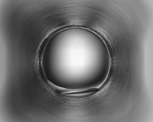X0000094330923200711021407