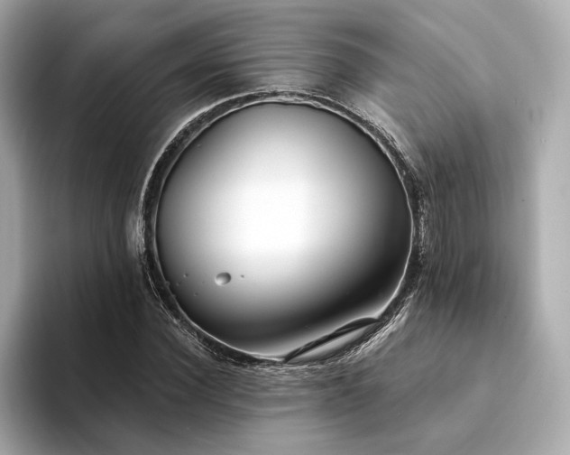 X0000094330924200711021407