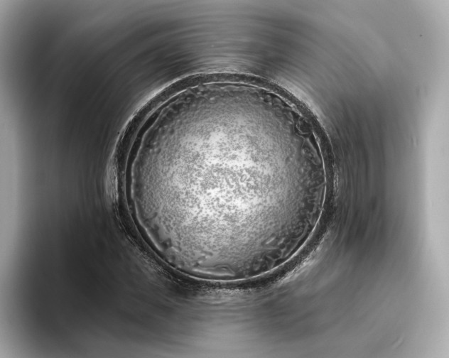 X0000094330925200711021407