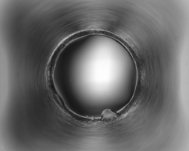 X0000094330926200711021407