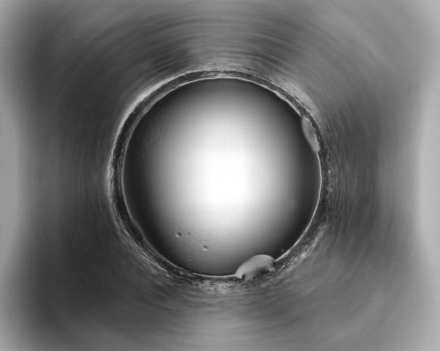 X0000094330928200711021407