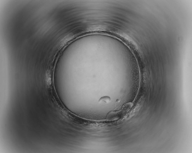 X0000094330929200711021407