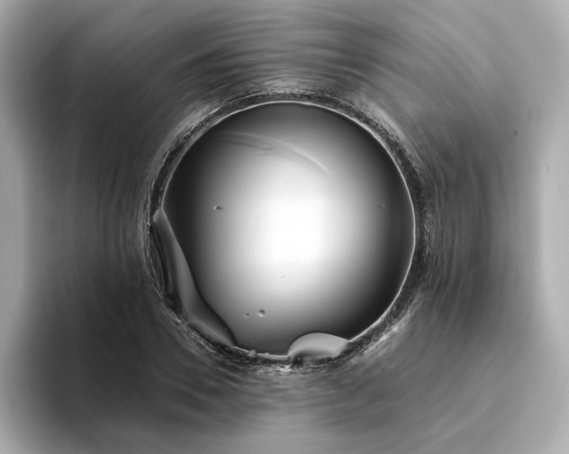 X0000094330930200711021407