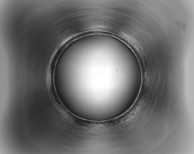 X0000094330931200711021407