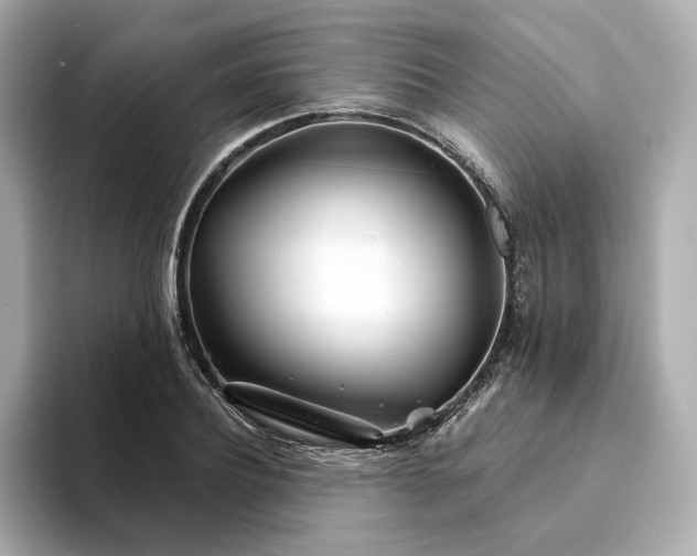X0000094330932200711021407