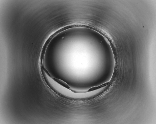 X0000094330936200711021407