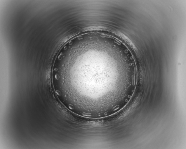 X0000094330937200711021407