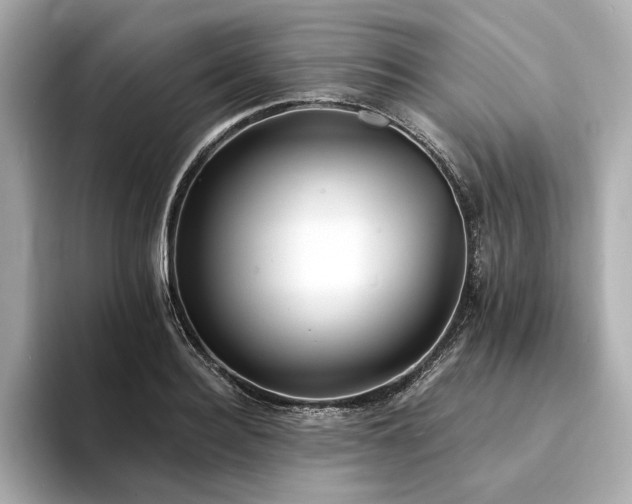 X0000094330940200711021407