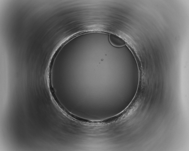 X0000094330941200711021407