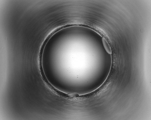 X0000094330942200711021407