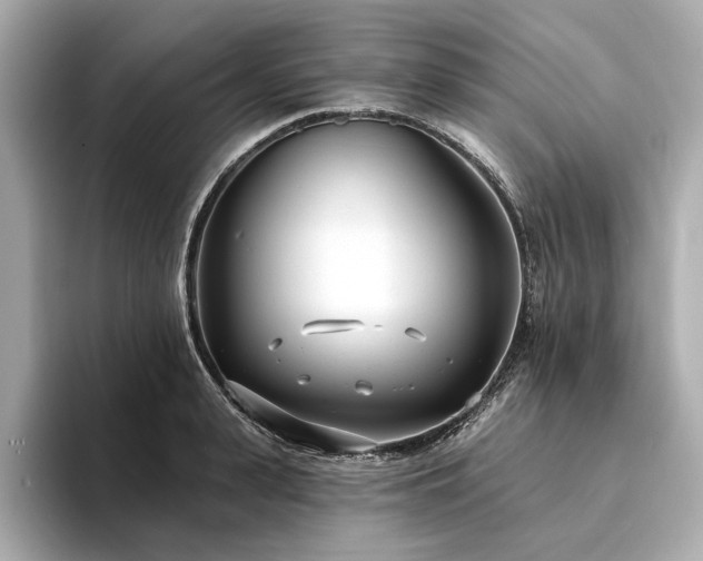 X0000094330943200711021407