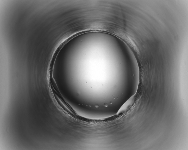 X0000094330944200711021407