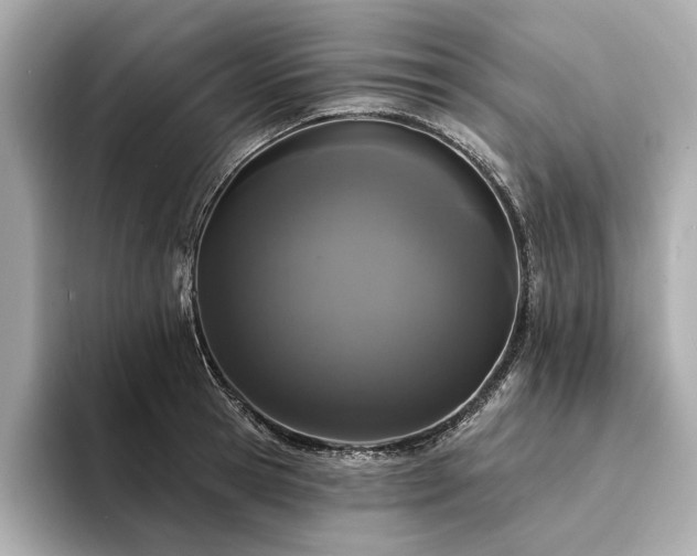 X0000094330945200711021407