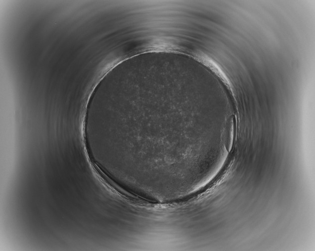 X0000094330946200711021407