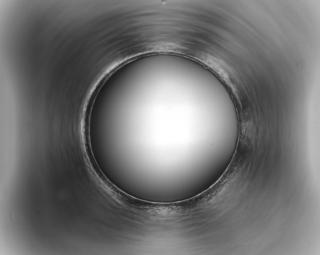 X0000094330947200711021407