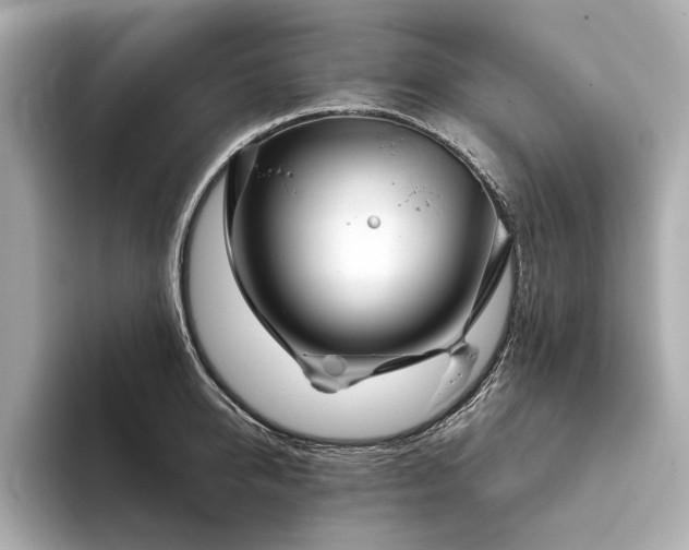 X0000094330950200711021407
