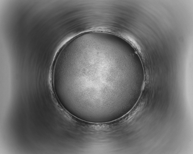 X0000094330952200711021407