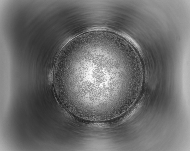 X0000094330953200711021407