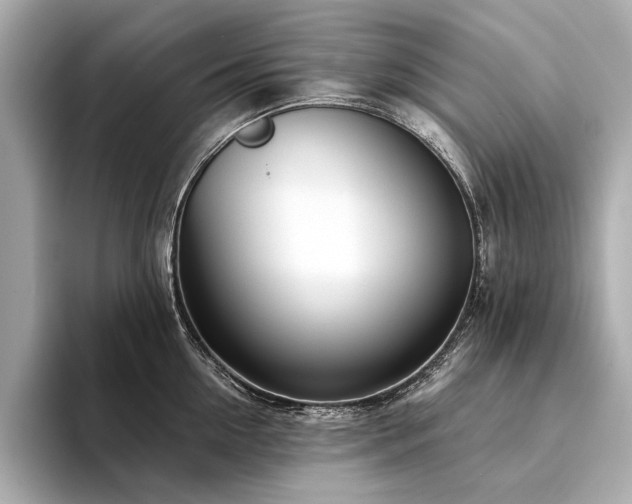 X0000094330954200711021407