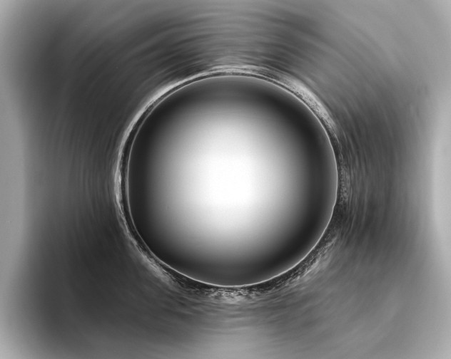 X0000094330955200711021407