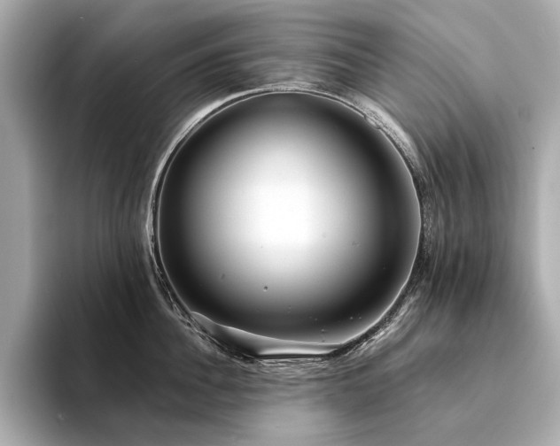 X0000094330956200711021407