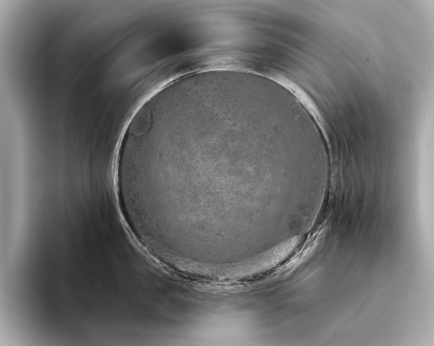 X0000094330957200711021407