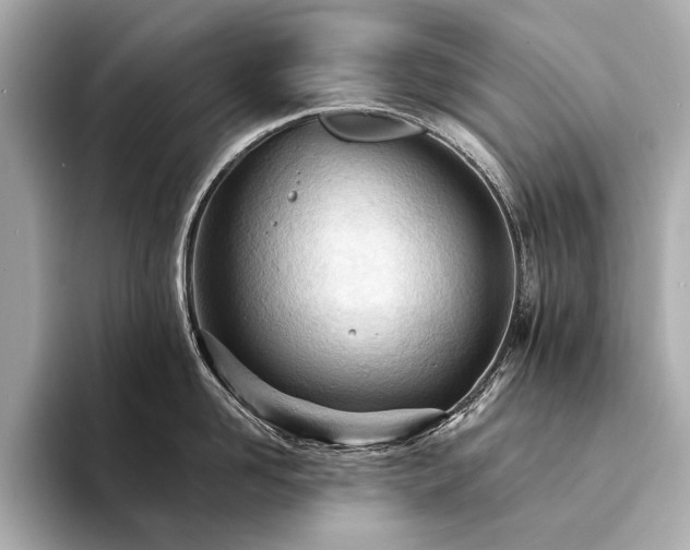 X0000094330958200711021407