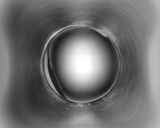 X0000094330960200711021407