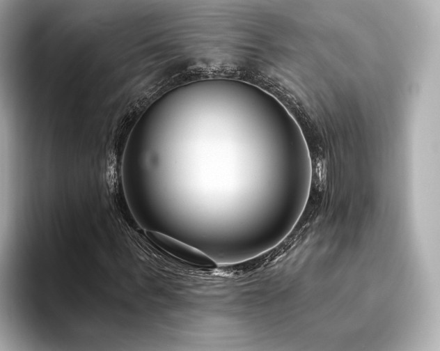 X0000094330963200711021407