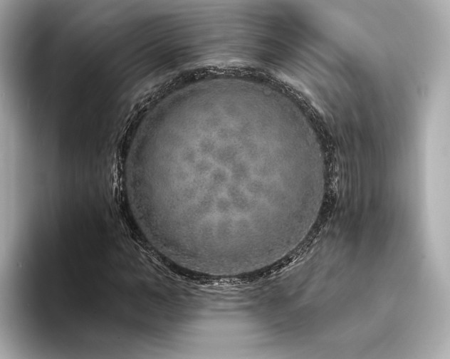 X0000094330966200711021407