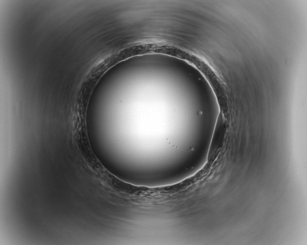 X0000094330967200711021407