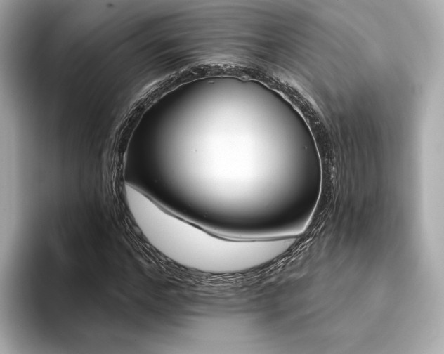 X0000094330968200711021407