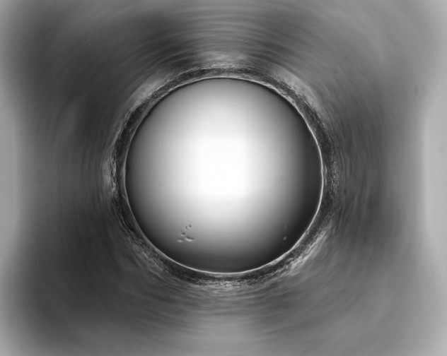 X0000094330970200711021407