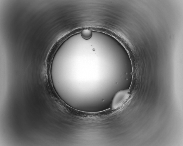 X0000094330974200711021407