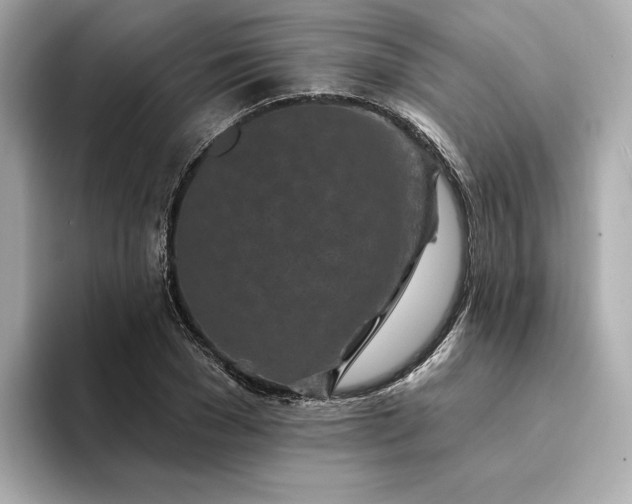 X0000094330977200711021407
