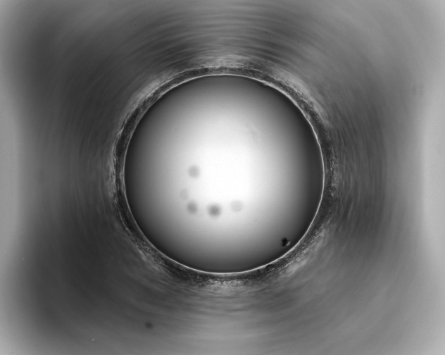 X0000094330978200711021407