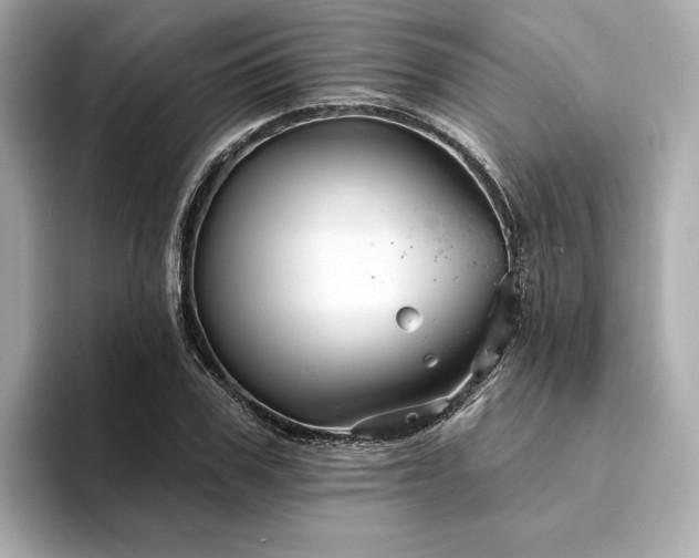 X0000094330979200711021407
