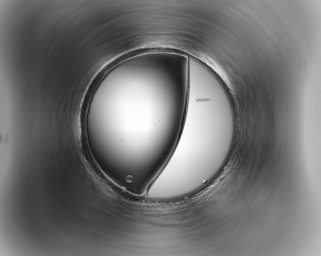 X0000094330980200711021407
