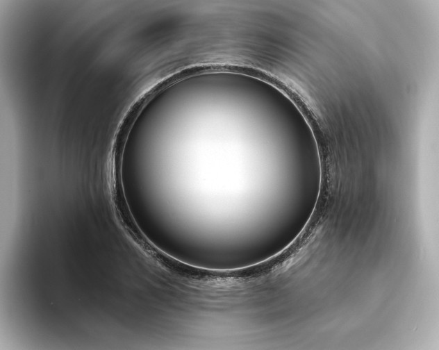 X0000094330982200711021407