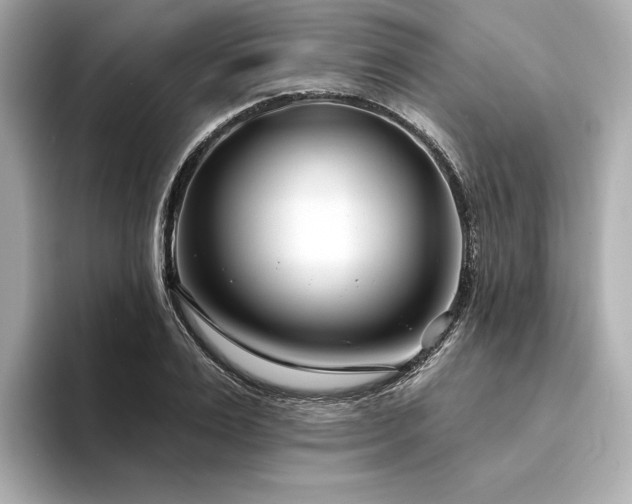X0000094330983200711021407